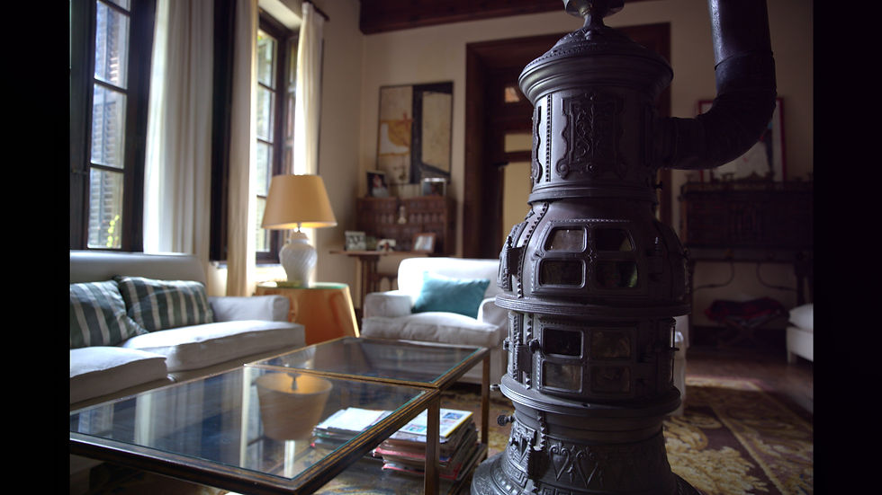 sala de invierno (2)
