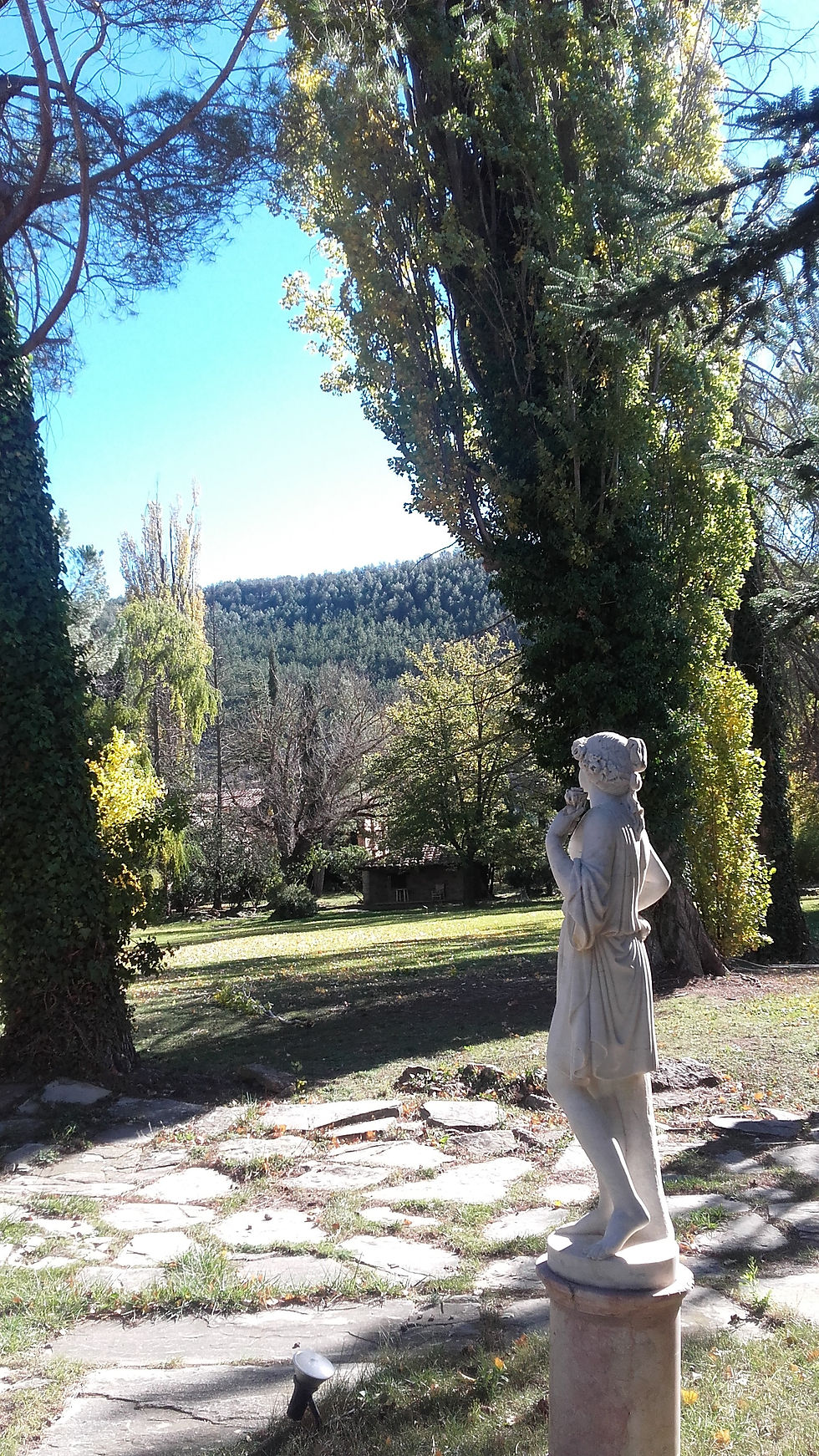 jardín
