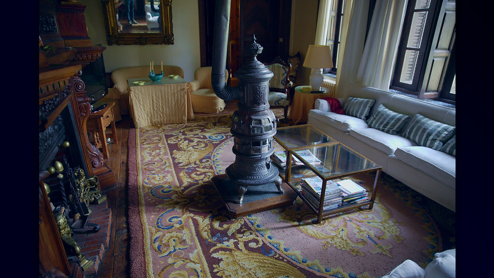 sala de invierno (3)