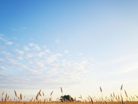 Overcoming Fear