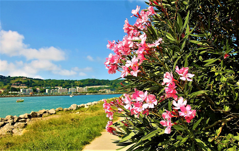 Hondarribia