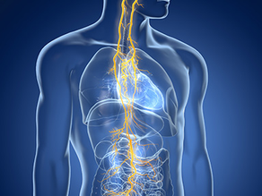 Is Stress Physically Making Me Sick?