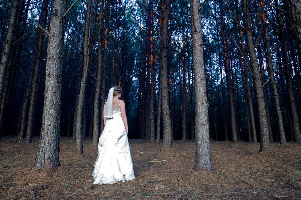 Bride Shot in the Pine Trees