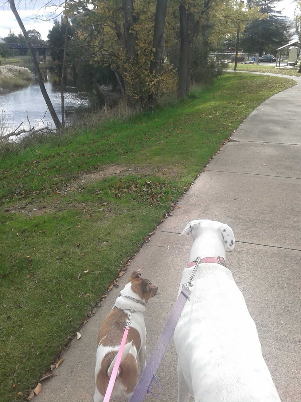 Daisy and Lily 000033.jpg