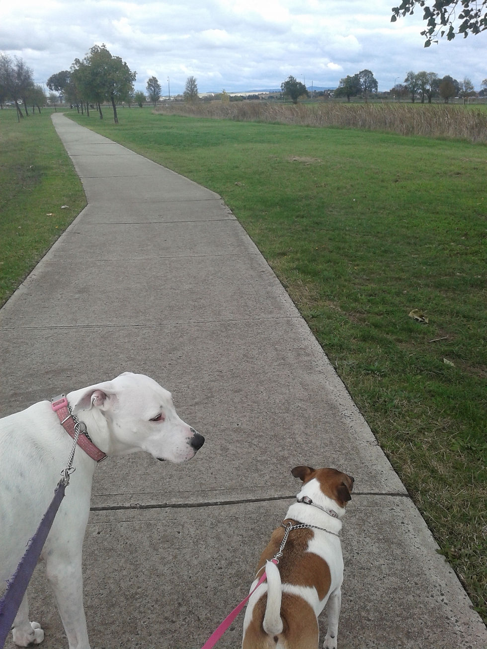 Daisy and Lily 000041.jpg
