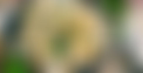 Mía ướp hoa bưởi - món ăn thanh cảnh “đặc sản” tháng 3 của người Hà Nội