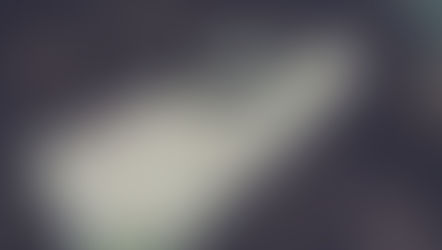 Understanding Religious Guidance: Licenses on Islam