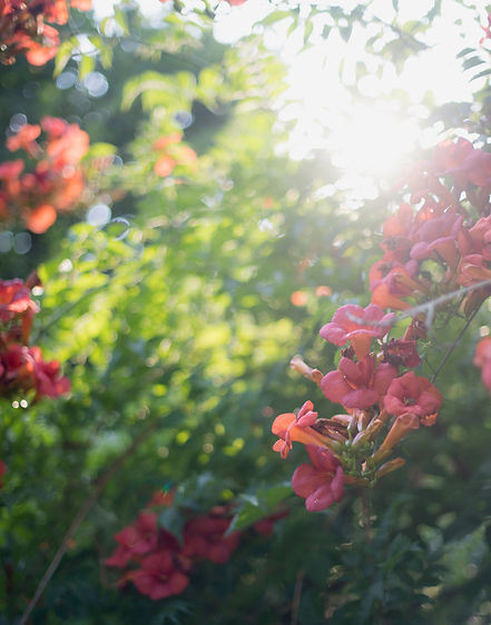 _DSC2986.jpeg
