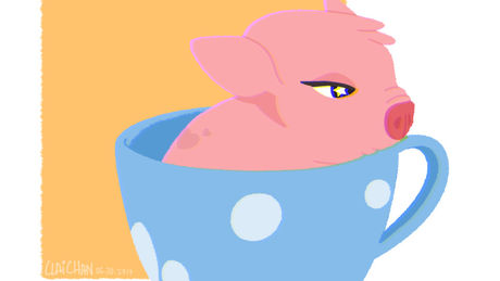 claiza-silubrico-teacup-pig.jpg_1498830529.jpg