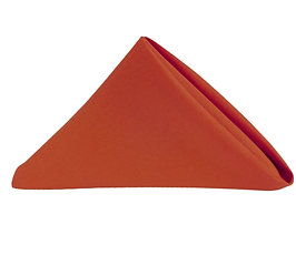 TERRACOTTA STOFFSERVIETTEN MIETEN