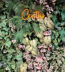 Luxuriöse grüne Dschungelwand mit Neon Schriftzug – Fotohintergrund für Hochzeit, Event un