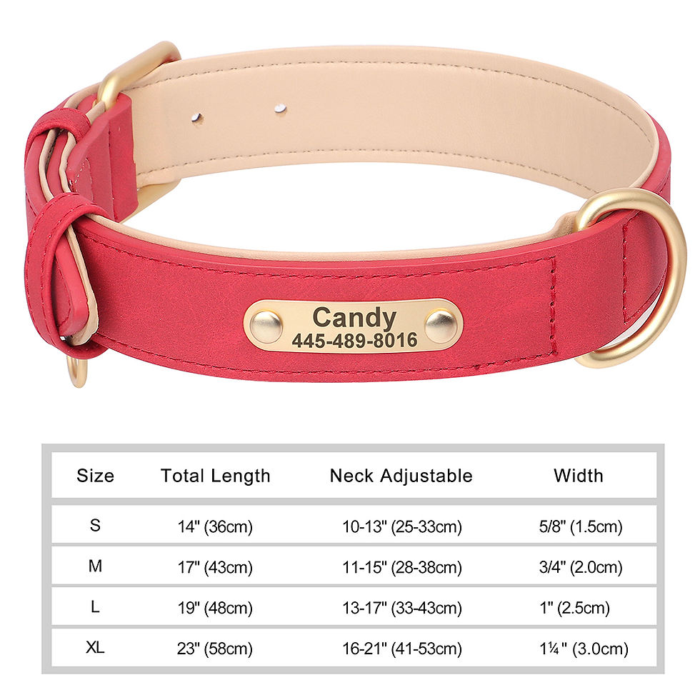 Thumbnail: Personalized Dog Collar | Custom Engraved