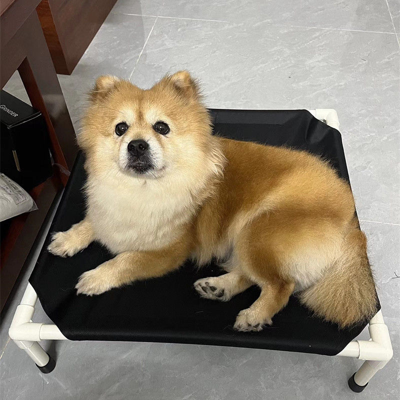 Thumbnail: Elevated Camping Bed for Dogs