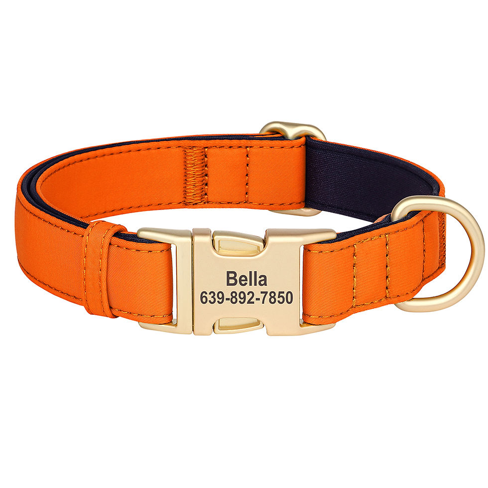 Thumbnail: Personalized Dog Collar | Waterproof