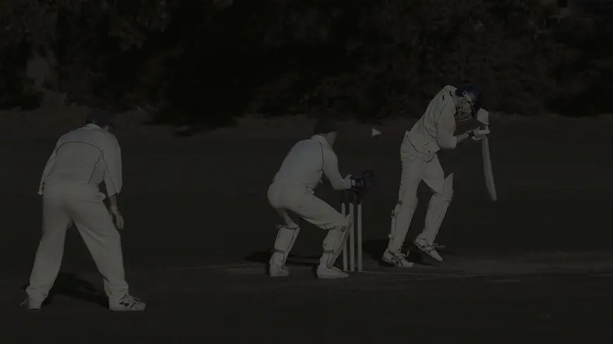 Untitled design (8).webp