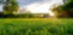 c2VydmljZT1pbWFnZXMmc3JjPWh0dHBzJTNBJTJGJTJGZnJlc2hsYXduc21vd2luZy5jb20uYXUlMkZ3cC1jb250ZW