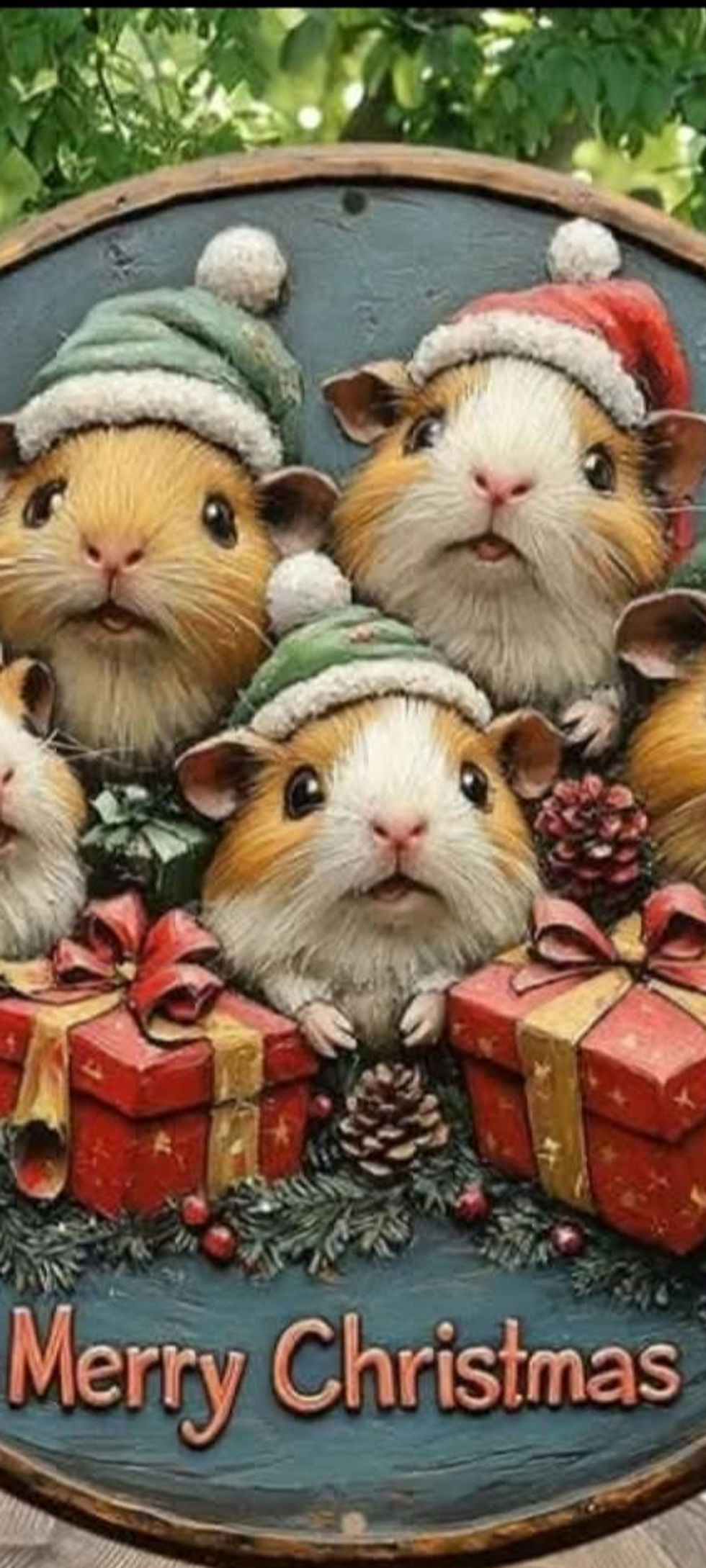 ** Pre order Xmas calendar **