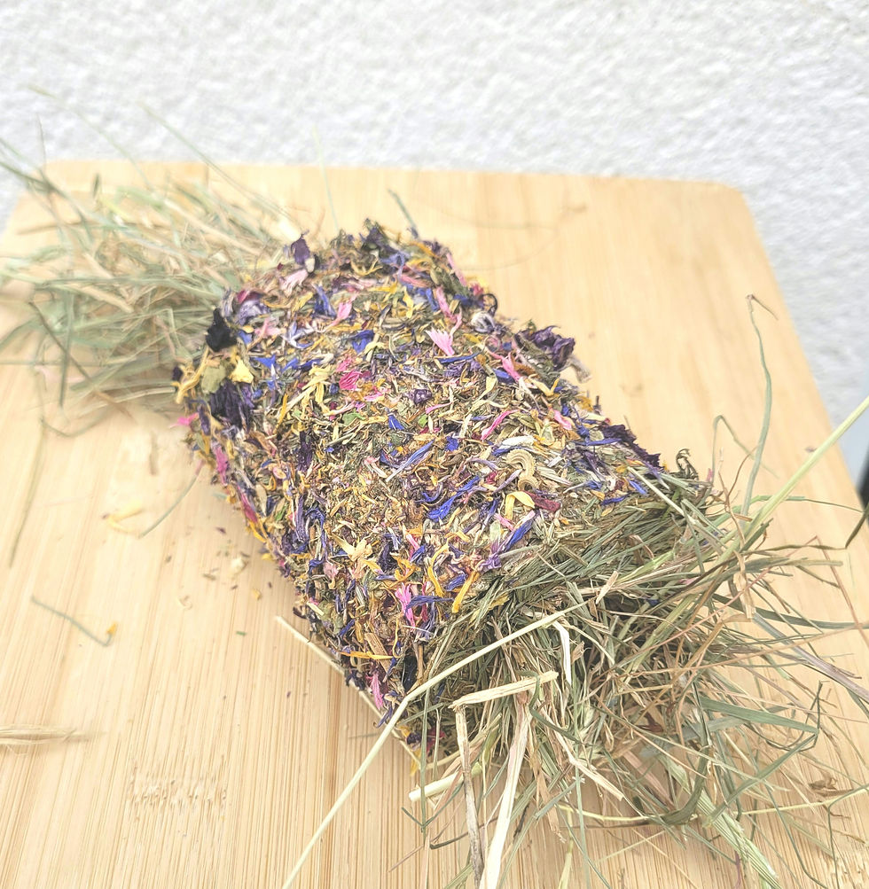 Forage nose nudger .