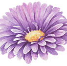 Purple Flower