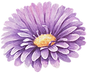 Purple Flower 