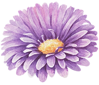 Purple Flower