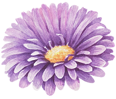 Flor Purpura