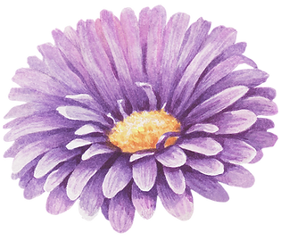 Purple Flower
