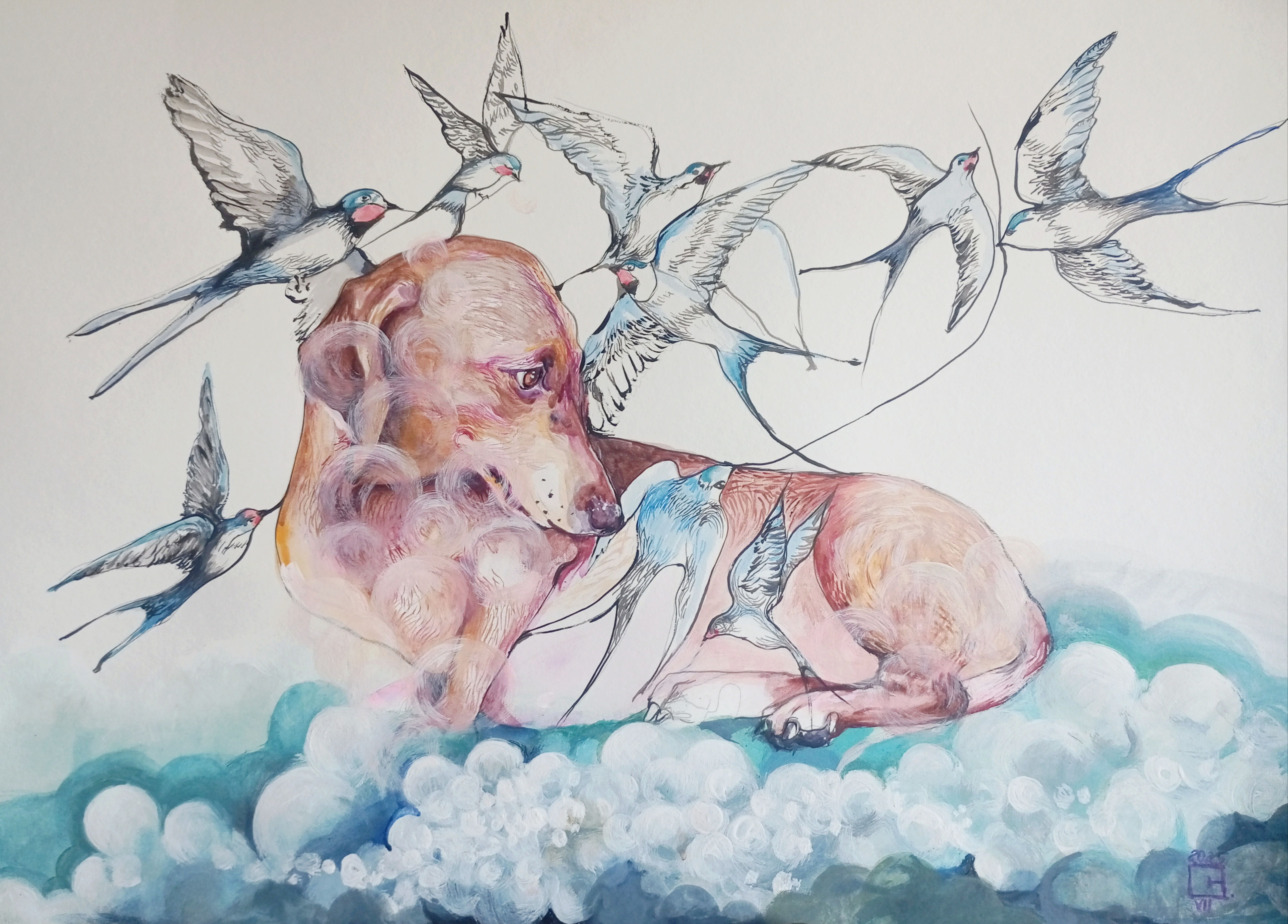 Stories on the clouds 