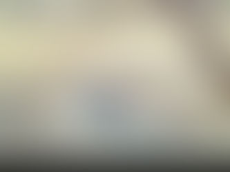 The Birds are Back in Town!