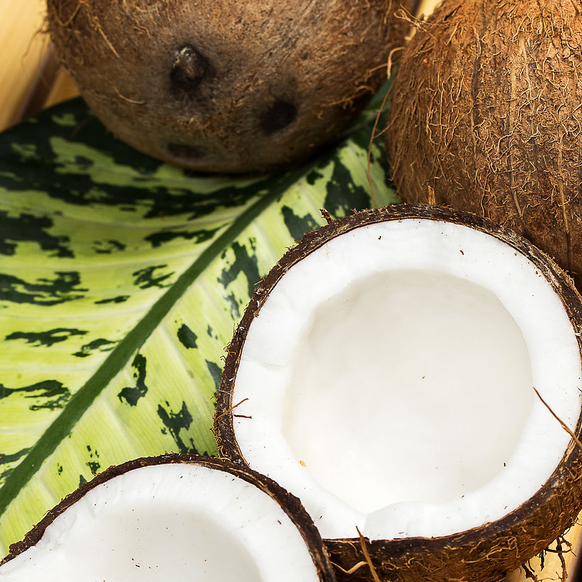 vecteezy_closeup-of-fresh-coconuts_7281634_813.jpg