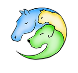 Design ohne Titel (16).png