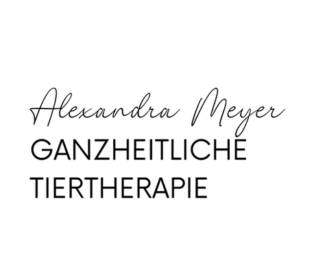 Design ohne Titel (18).png