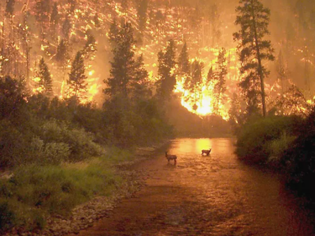 Every Season Calls for Fire Preparedness!