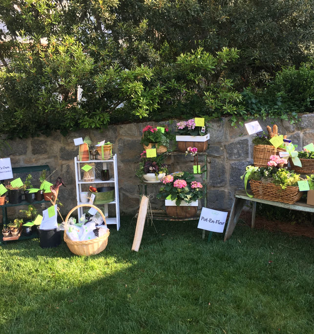 APRIL NORTHWOOD'S OWN IMG_9948.jpg