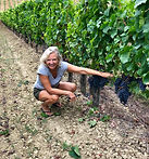 workinginvines.jpeg