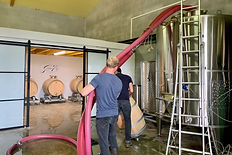 Preparing the winery.jpeg