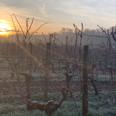 Frosty Morning in February.jpeg