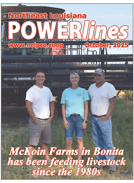 2025-10 Powerlines Cover.jpg