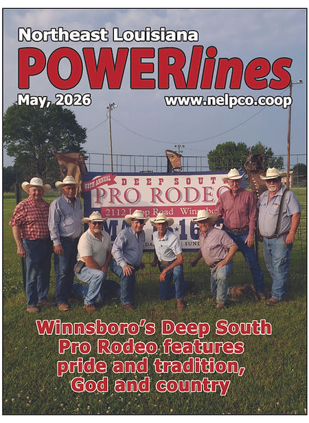 Powerlines May 2026 1.jpg
