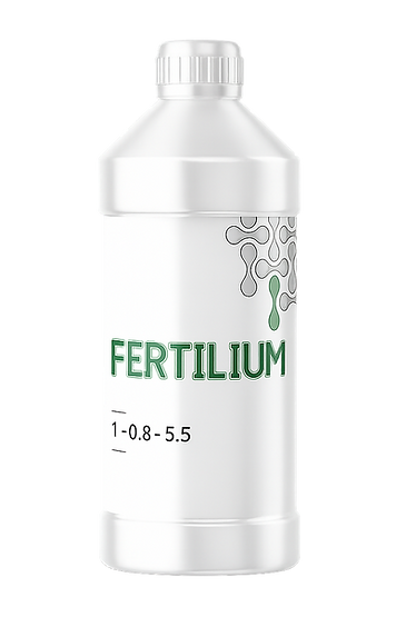 ChatGPT Image Mar 2, 2026, 02_38_37 PM.png