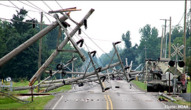 powerlines_poles_road.png