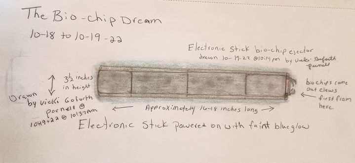 The Bio Chip Dream 10-18-22 to 10-19-22 stick pic 2.jpg