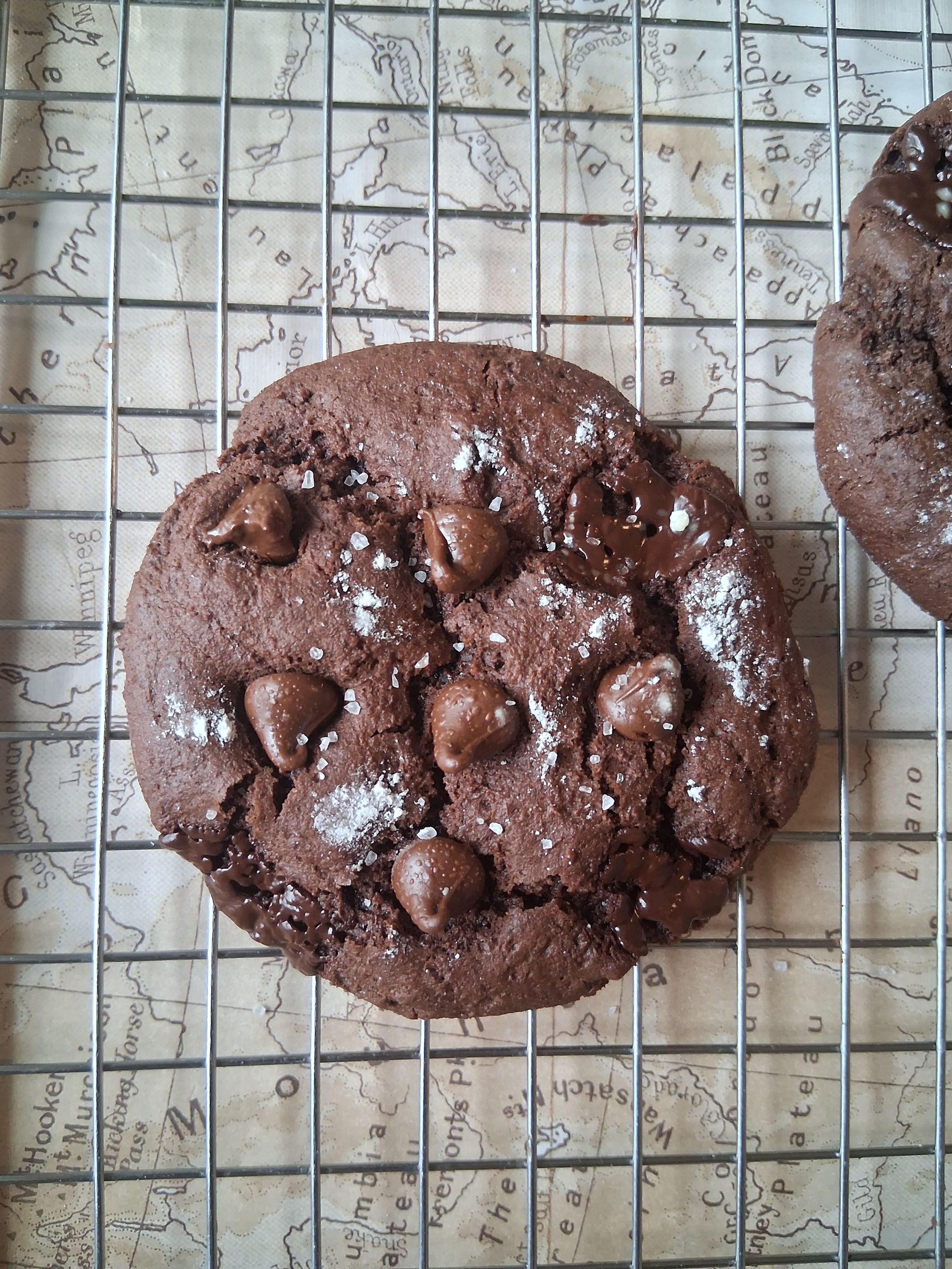 Chocolate Brownie Cookies (1/2 Doz)