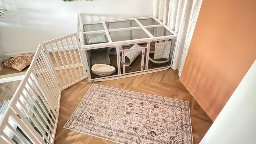 pension lapin