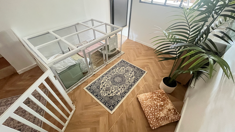 pension lapin