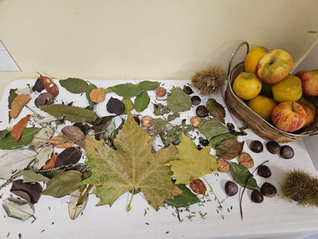 La table des saisons - Autumn corner🍂