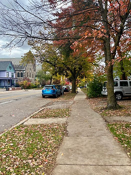 Another picture of 4th Avenue, vibrant reds and greens of fall leaves, tall oak trees