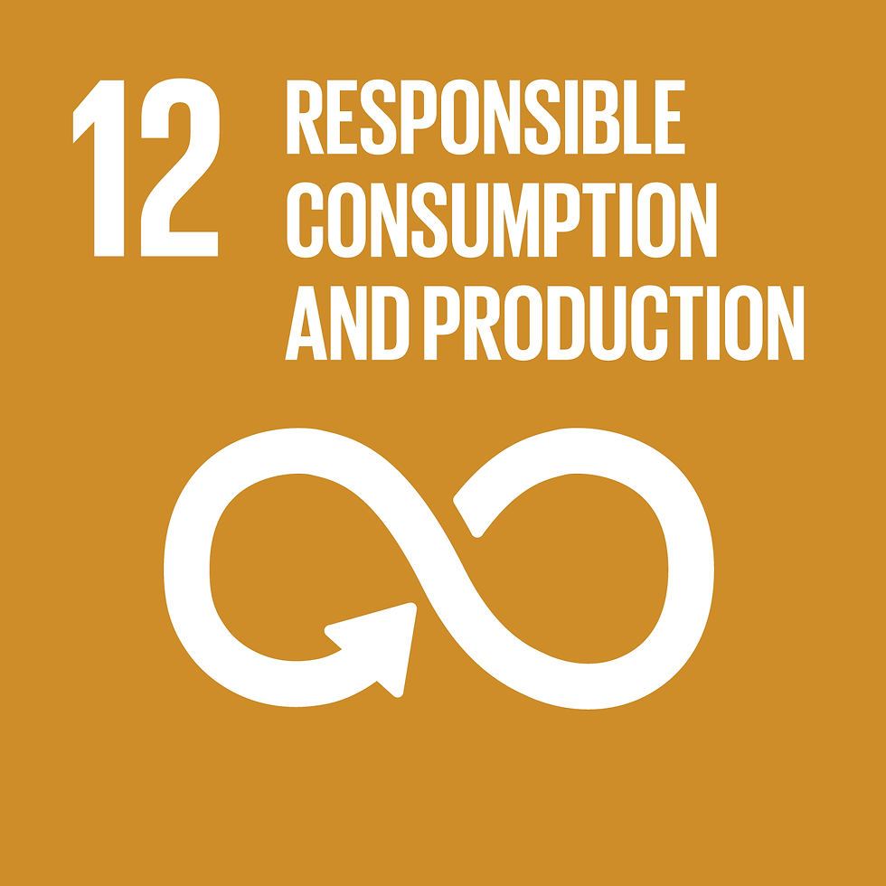 RESPONSIBLE CONSUMPTION AND PRODUCTI