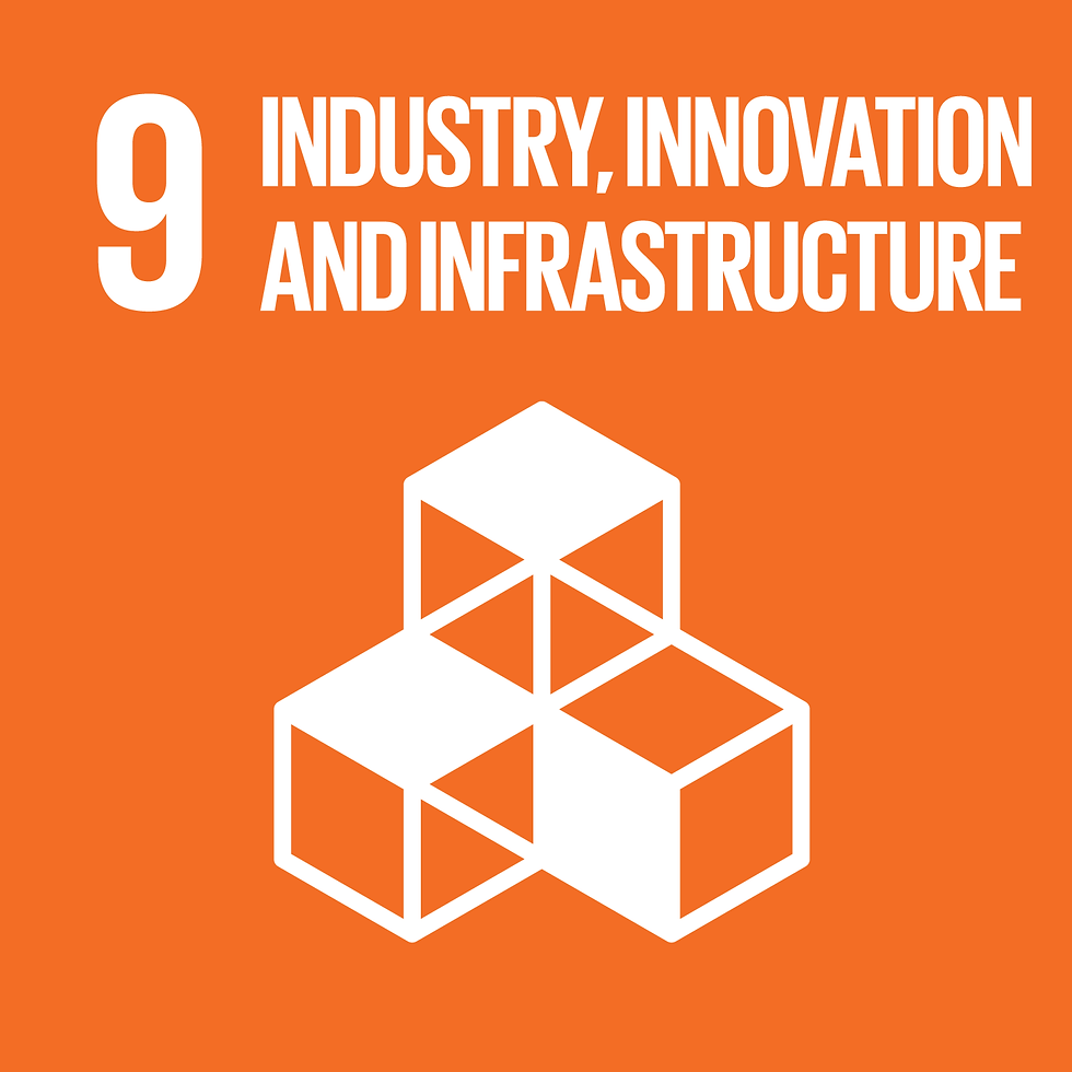 INDUSTRY, INNOVATION AND INFRASTRUCT