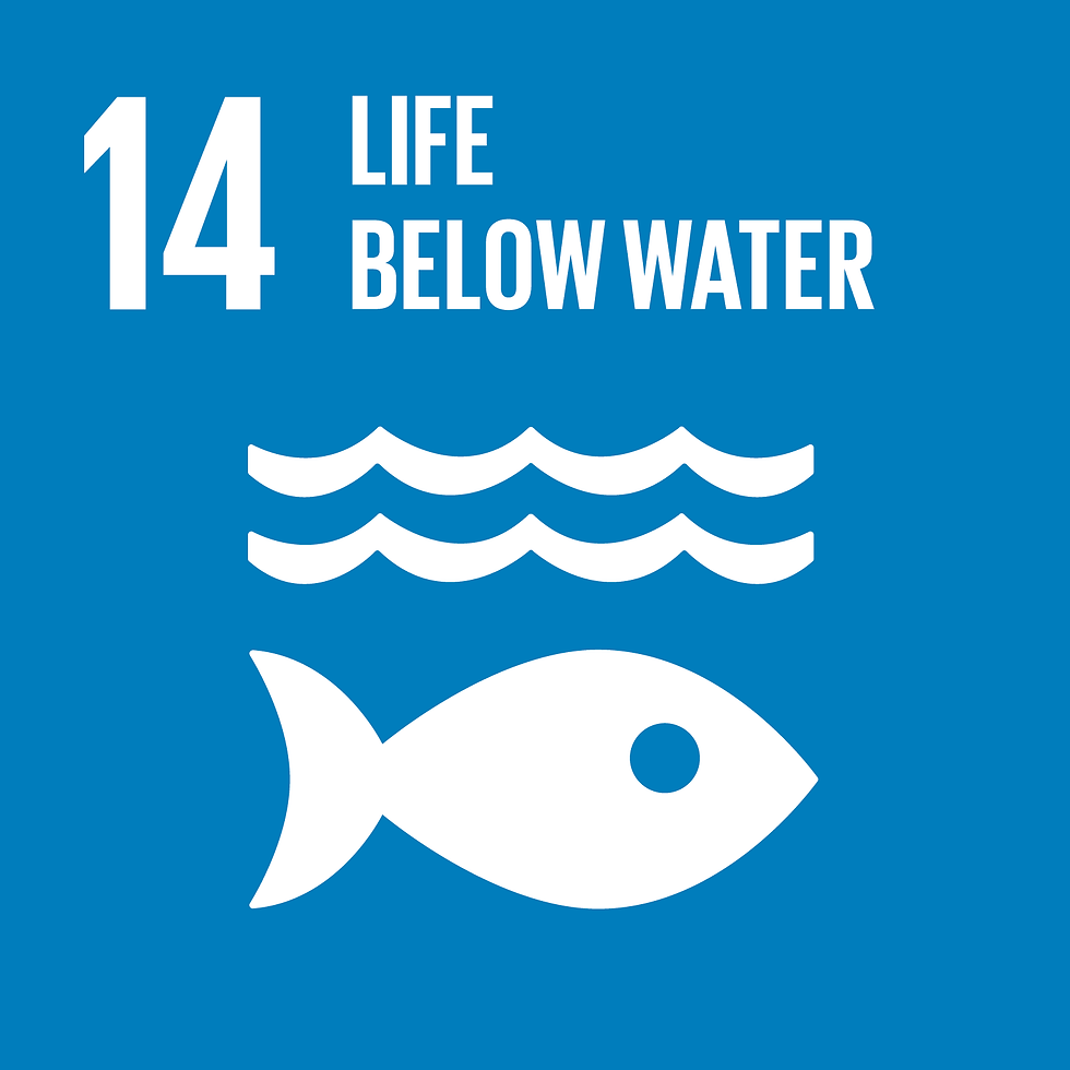 LIFE BELOW WATER